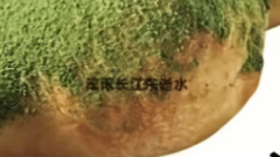 传奇私服网